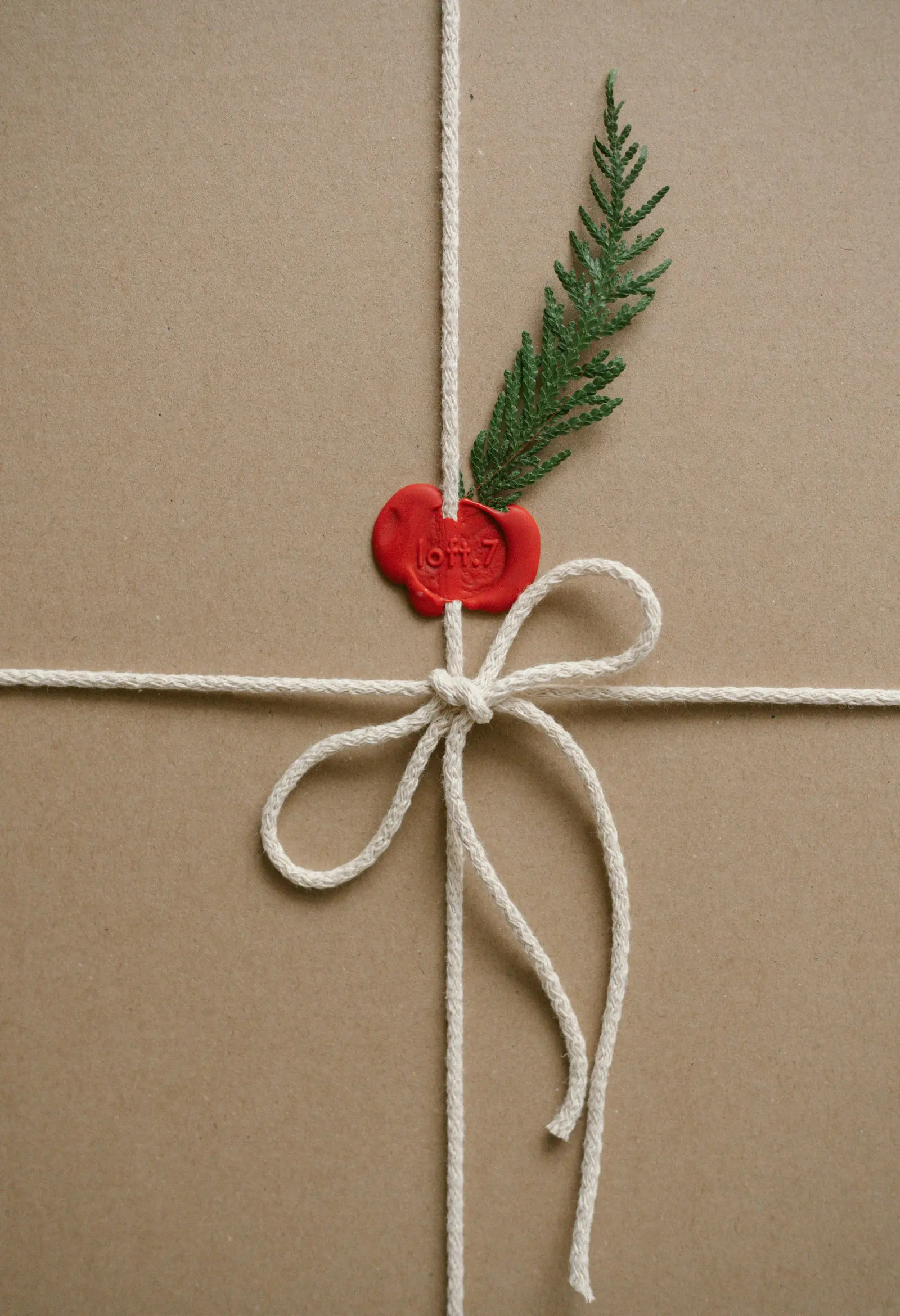 A kraft-paper parcel tied with white cotton cord in a bow, with a red wax seal and a small green sprig.